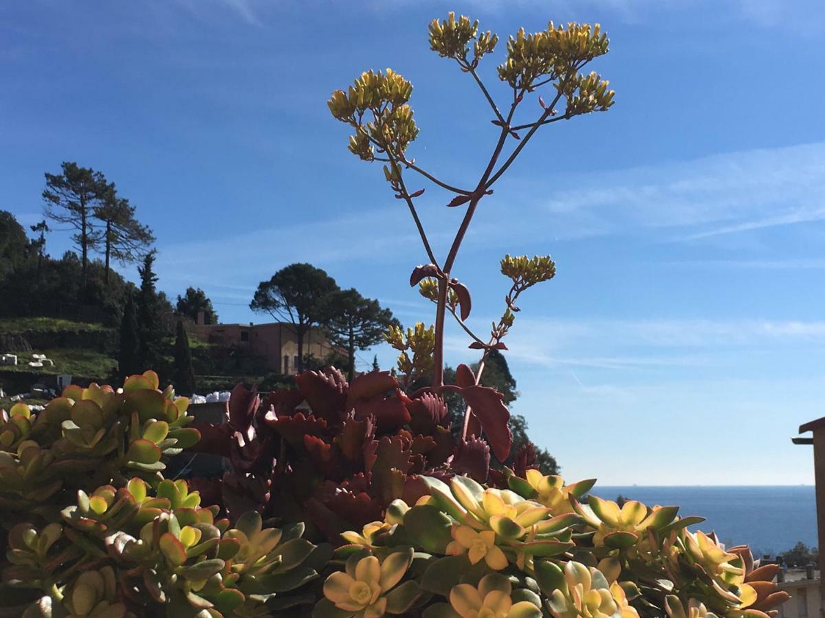 Cinqueterreblu Bougainvilleap Monterosso al Mare Eksteriør billede